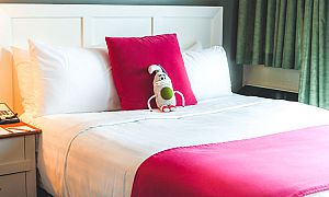 Whistler Blackcomb : Summit Lodge & Spa